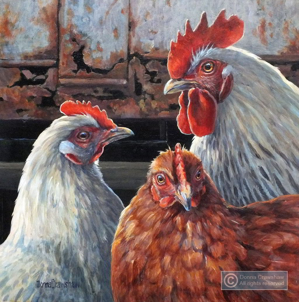 Chickens by Donna Crawshaw