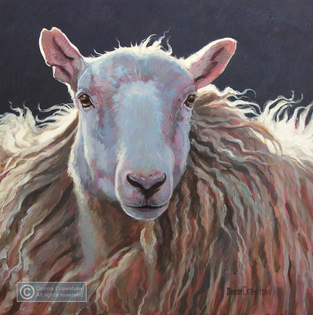 Sheep by Donna Crawshaw
