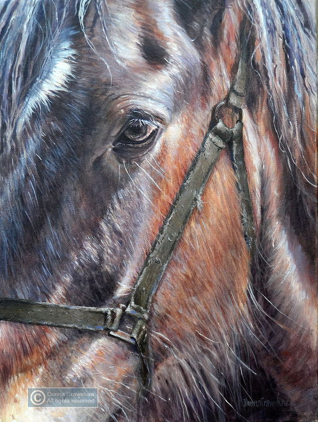 Shire Head by Donna Crawshaw